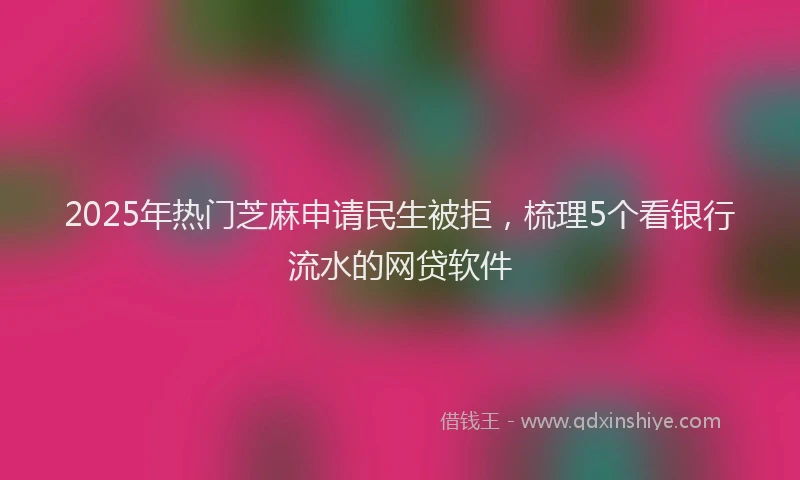 2025年热门芝麻申请民生被拒，梳理5个看银行流水的网贷软件
