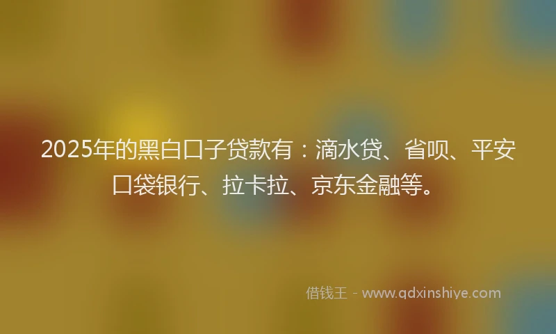 2025年的黑白口子贷款有：滴水贷、省呗、平安口袋银行、拉卡拉、京东金融等。