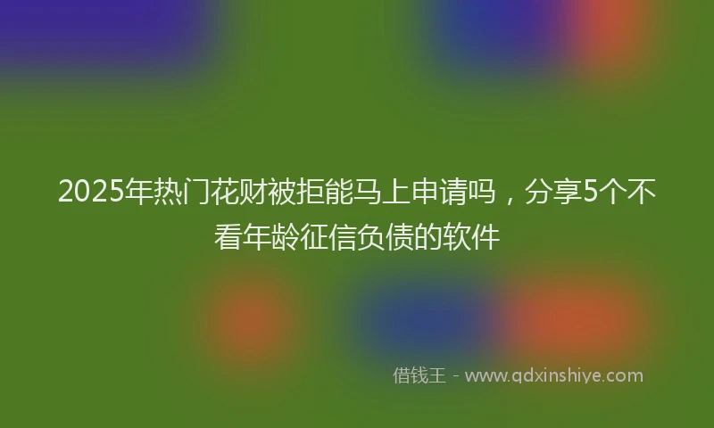 2025年热门花财被拒能马上申请吗，分享5个不看年龄征信负债的软件