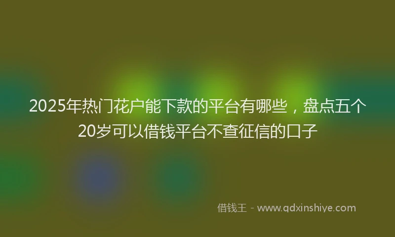 2025年热门花户能下款的平台有哪些，盘点五个20岁可以借钱平台不查征信的口子