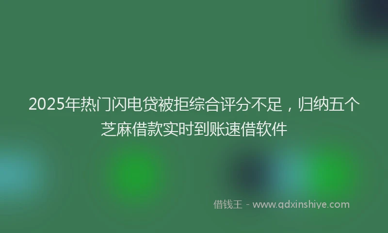 2025年热门闪电贷被拒综合评分不足，归纳五个芝麻借款实时到账速借软件