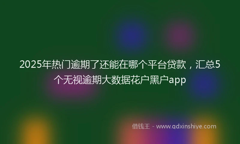 2025年热门逾期了还能在哪个平台贷款，汇总5个无视逾期大数据花户黑户app