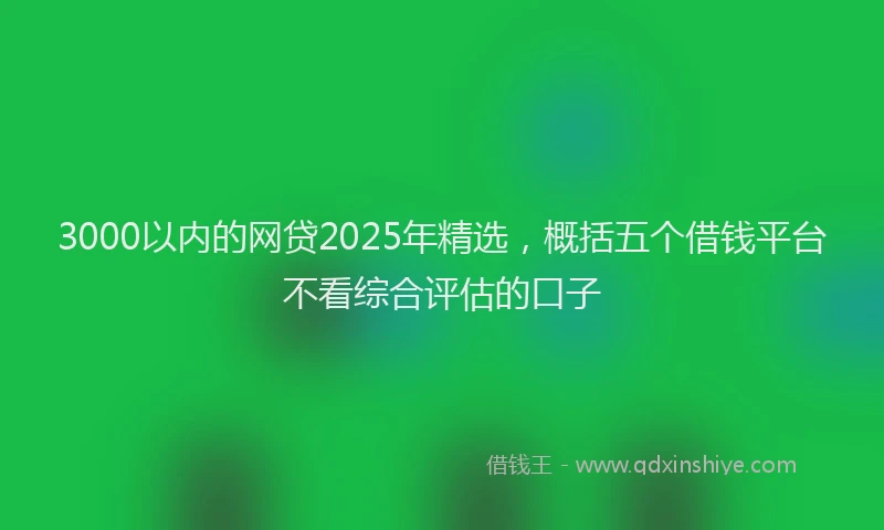 3000以内的网贷2025年精选，概括五个借钱平台不看综合评估的口子