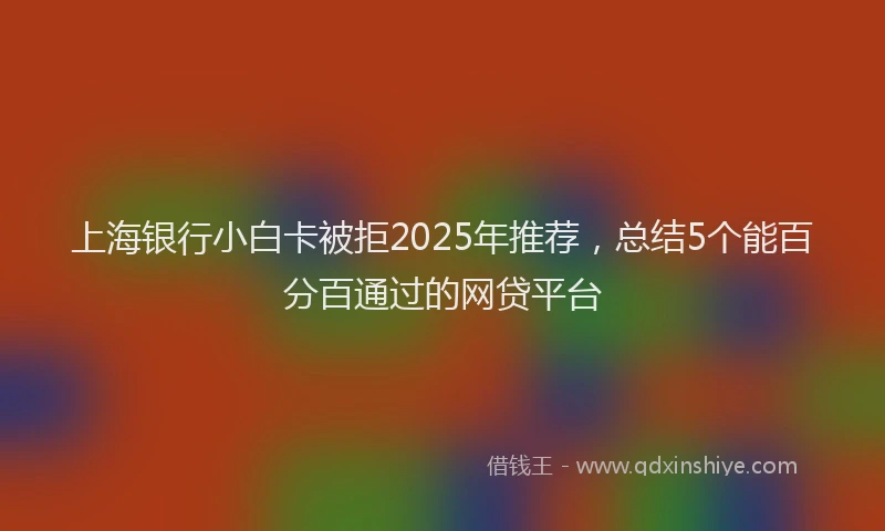 上海银行小白卡被拒2025年推荐，总结5个能百分百通过的网贷平台