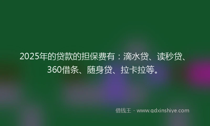 2025年的贷款的担保费有：滴水贷、读秒贷、360借条、随身贷、拉卡拉等。