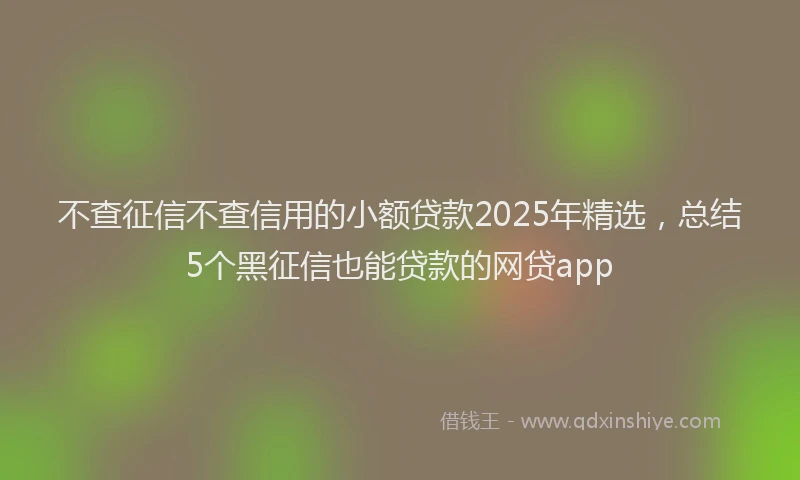 不查征信不查信用的小额贷款2025年精选，总结5个黑征信也能贷款的网贷app