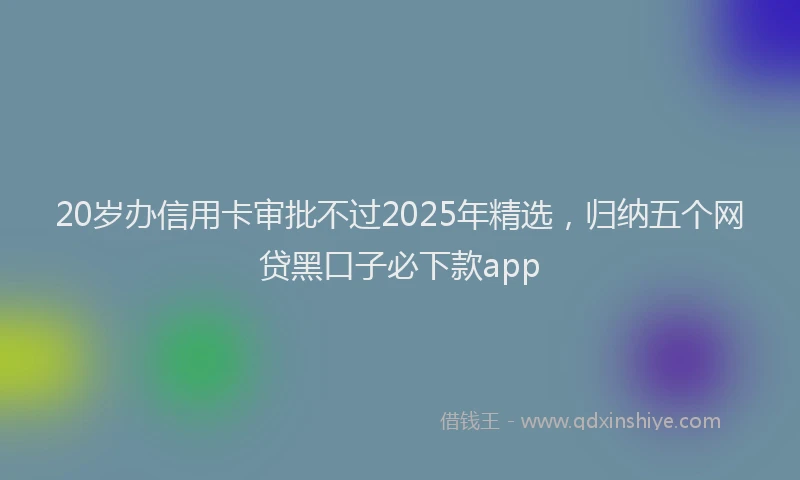 20岁办信用卡审批不过2025年精选，归纳五个网贷黑口子必下款app