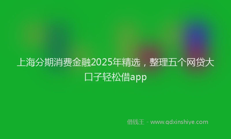 上海分期消费金融2025年精选，整理五个网贷大口子轻松借app