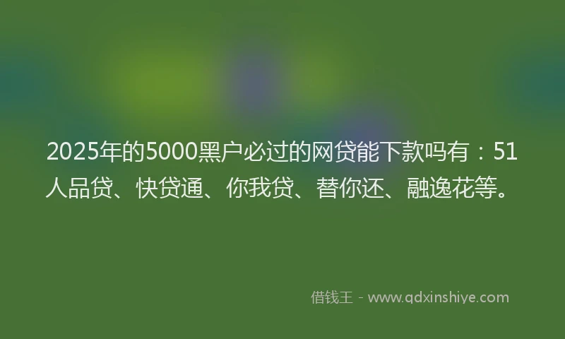 2025年的5000黑户必过的网贷能下款吗有：51人品贷、快贷通、你我贷、替你还、融逸花等。