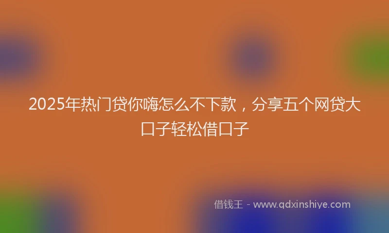 2025年热门贷你嗨怎么不下款，分享五个网贷大口子轻松借口子