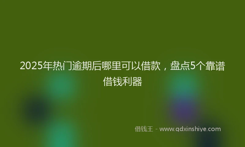 2025年热门逾期后哪里可以借款，盘点5个靠谱借钱利器