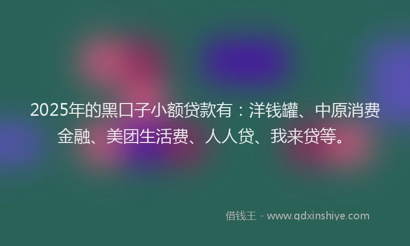 2025年的黑口子小额贷款有：洋钱罐、中原消费金融、美团生活费、人人贷、我来贷等。