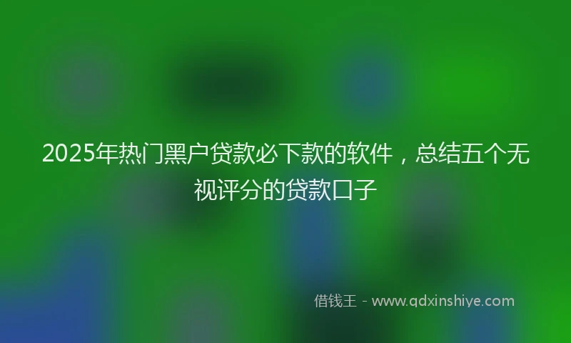 2025年热门黑户贷款必下款的软件，总结五个无视评分的贷款口子