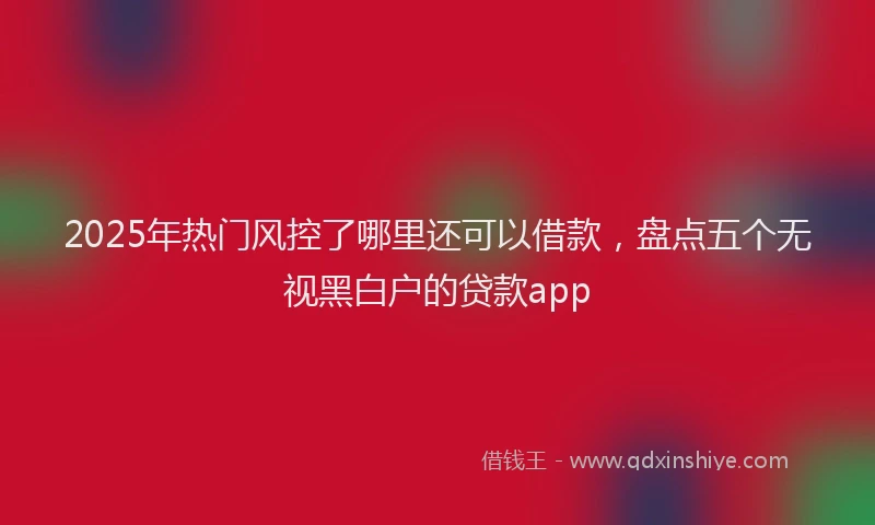 2025年热门风控了哪里还可以借款，盘点五个无视黑白户的贷款app