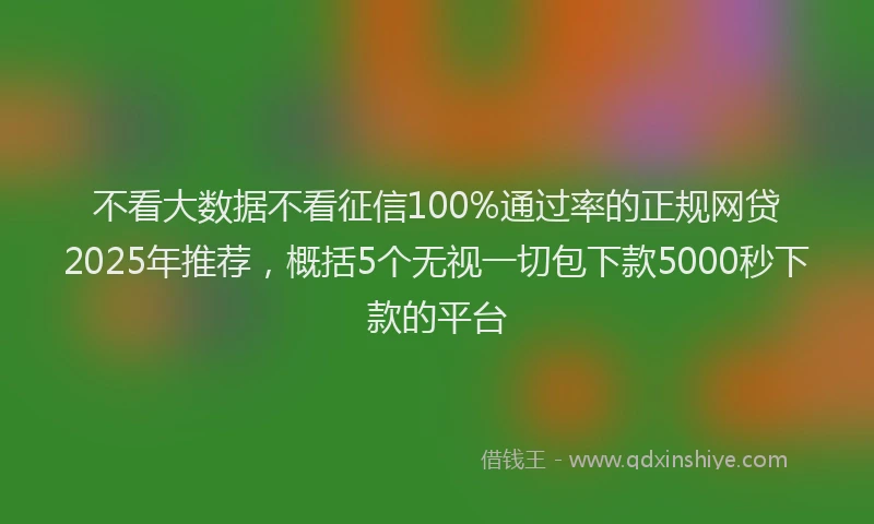 不看大数据不看征信100%通过率的正规网贷2025年推荐，概括5个无视一切包下款5000秒下款的平台