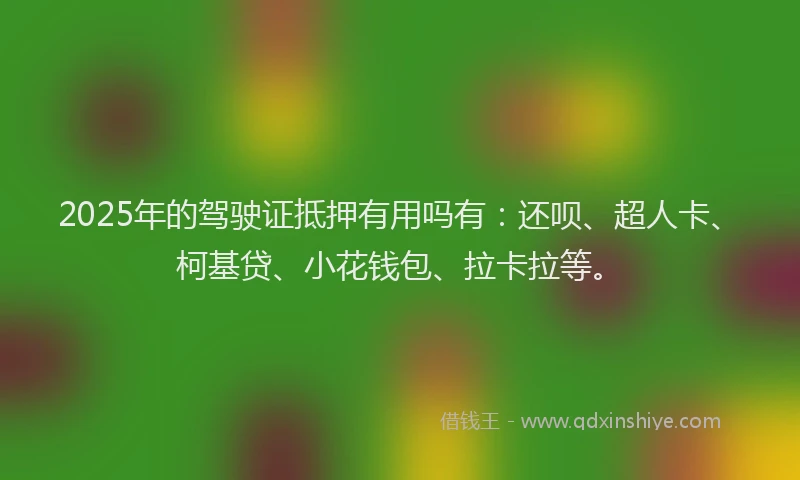 2025年的驾驶证抵押有用吗有：还呗、超人卡、柯基贷、小花钱包、拉卡拉等。