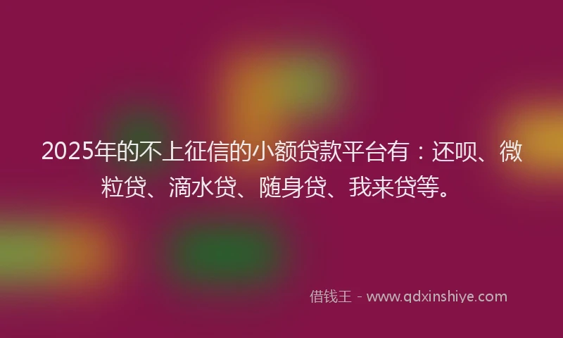 2025年的不上征信的小额贷款平台有：还呗、微粒贷、滴水贷、随身贷、我来贷等。