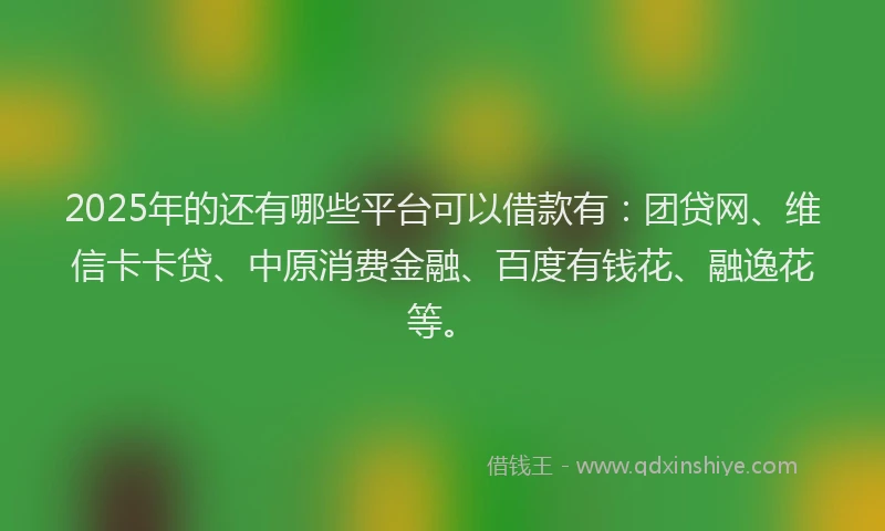 2025年的还有哪些平台可以借款有：团贷网、维信卡卡贷、中原消费金融、百度有钱花、融逸花等。