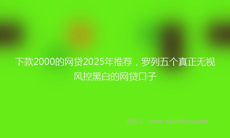 下款2000的网贷2025年推荐，罗列五个真正无视风控黑白的网贷口子