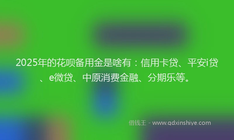 2025年的花呗备用金是啥有：信用卡贷、平安i贷、e微贷、中原消费金融、分期乐等。