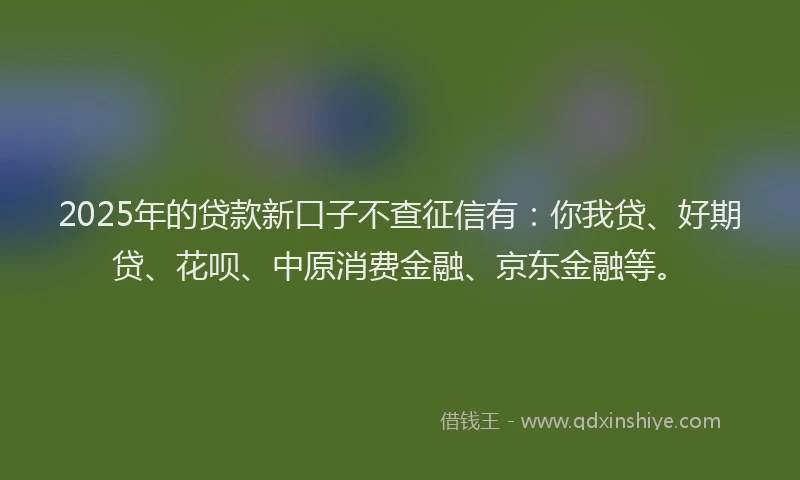 2025年的贷款新口子不查征信有：你我贷、好期贷、花呗、中原消费金融、京东金融等。