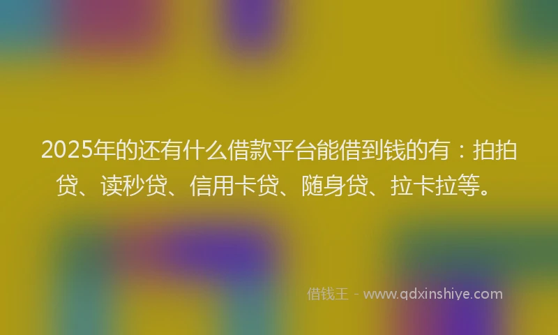 2025年的还有什么借款平台能借到钱的有：拍拍贷、读秒贷、信用卡贷、随身贷、拉卡拉等。