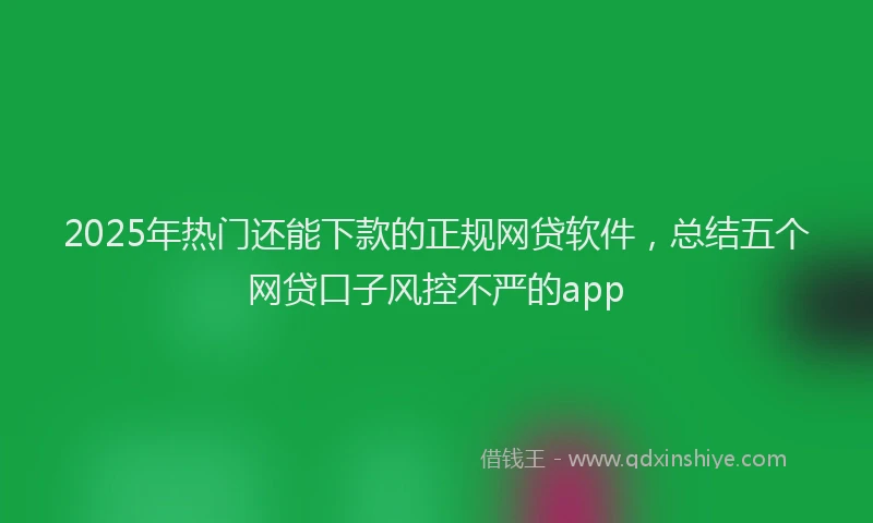 2025年热门还能下款的正规网贷软件，总结五个网贷口子风控不严的app