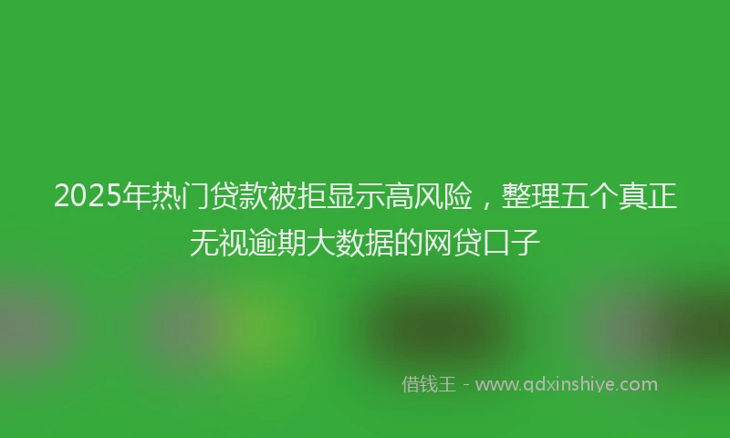 2025年热门贷款被拒显示高风险，整理五个真正无视逾期大数据的网贷口子