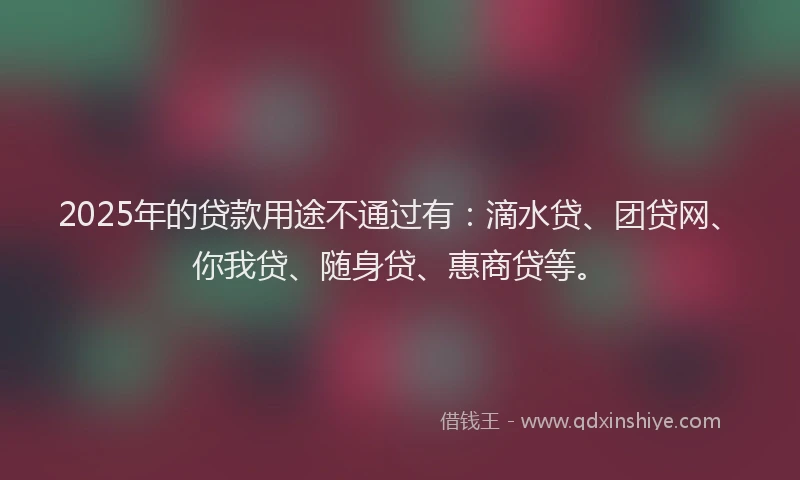 2025年的贷款用途不通过有：滴水贷、团贷网、你我贷、随身贷、惠商贷等。