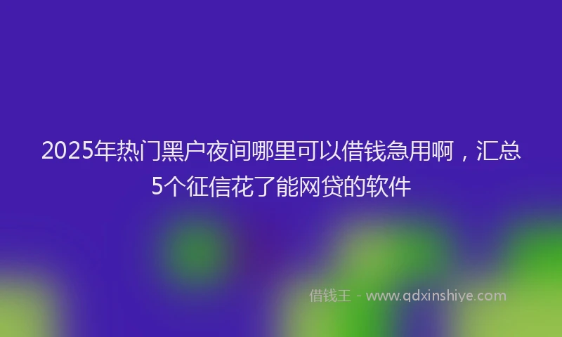 2025年热门黑户夜间哪里可以借钱急用啊，汇总5个征信花了能网贷的软件