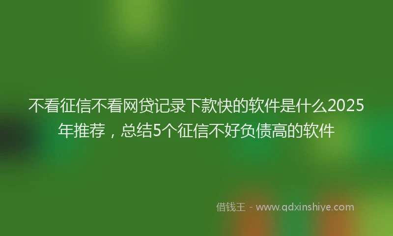 不看征信不看网贷记录下款快的软件是什么2025年推荐，总结5个征信不好负债高的软件