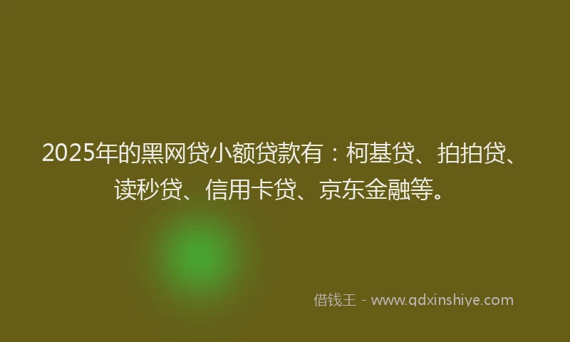2025年的黑网贷小额贷款有：柯基贷、拍拍贷、读秒贷、信用卡贷、京东金融等。