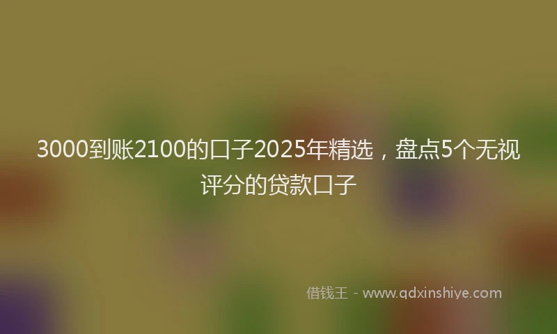 3000到账2100的口子2025年精选，盘点5个无视评分的贷款口子
