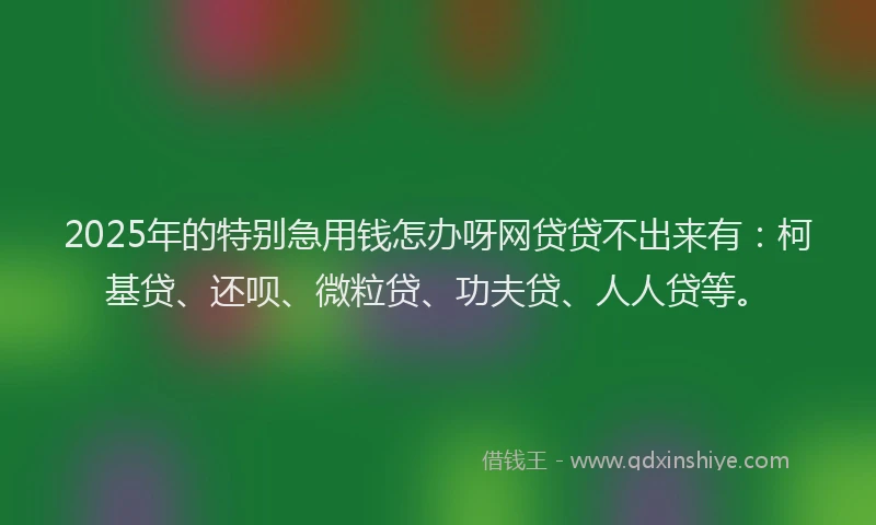 2025年的特别急用钱怎办呀网贷贷不出来有：柯基贷、还呗、微粒贷、功夫贷、人人贷等。