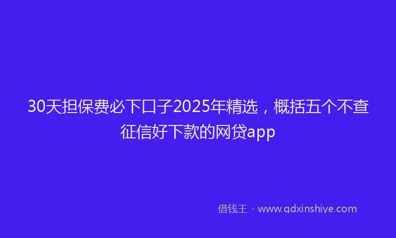 30天担保费必下口子2025年精选，概括五个不查征信好下款的网贷app