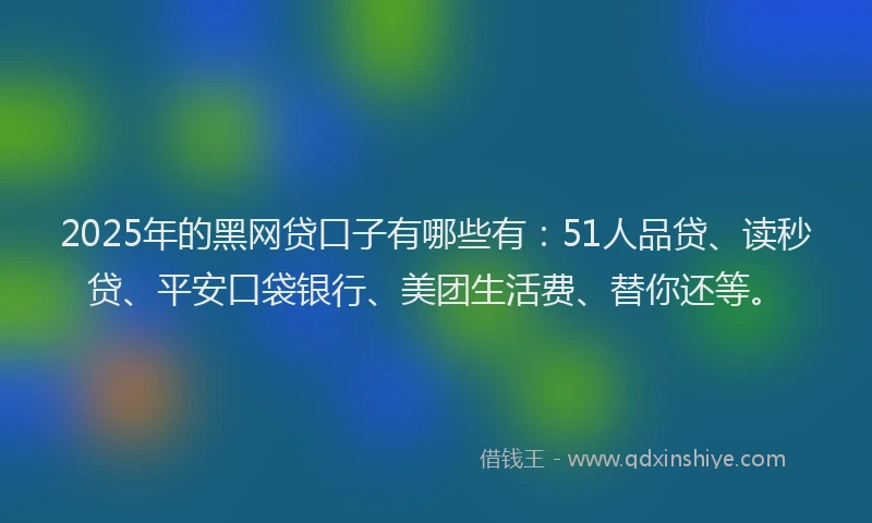 2025年的黑网贷口子有哪些有：51人品贷、读秒贷、平安口袋银行、美团生活费、替你还等。