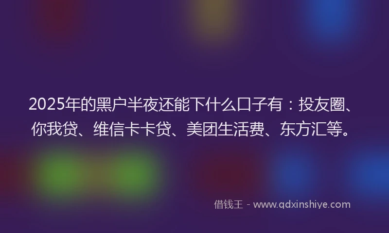 2025年的黑户半夜还能下什么口子有：投友圈、你我贷、维信卡卡贷、美团生活费、东方汇等。