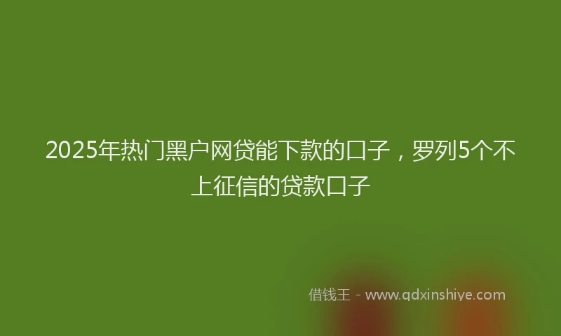 2025年热门黑户网贷能下款的口子，罗列5个不上征信的贷款口子