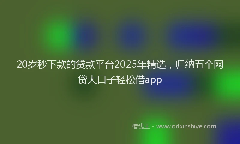 20岁秒下款的贷款平台2025年精选，归纳五个网贷大口子轻松借app