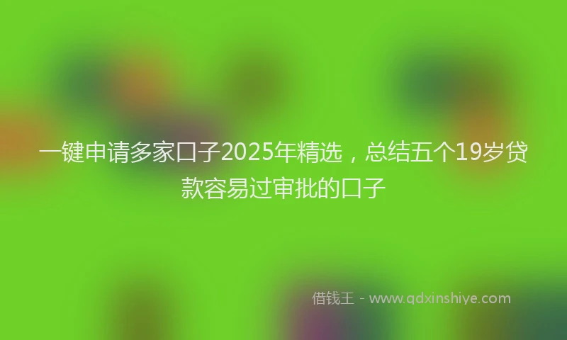 一键申请多家口子2025年精选，总结五个19岁贷款容易过审批的口子