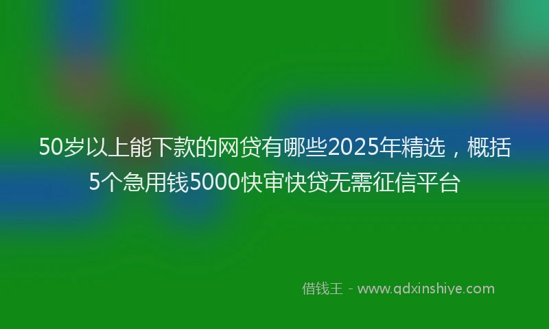 50岁以上能下款的网贷有哪些2025年精选，概括5个急用钱5000快审快贷无需征信平台