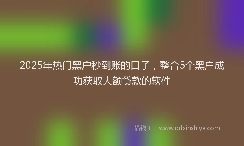 2025年热门黑户秒到账的口子，整合5个黑户成功获取大额贷款的软件