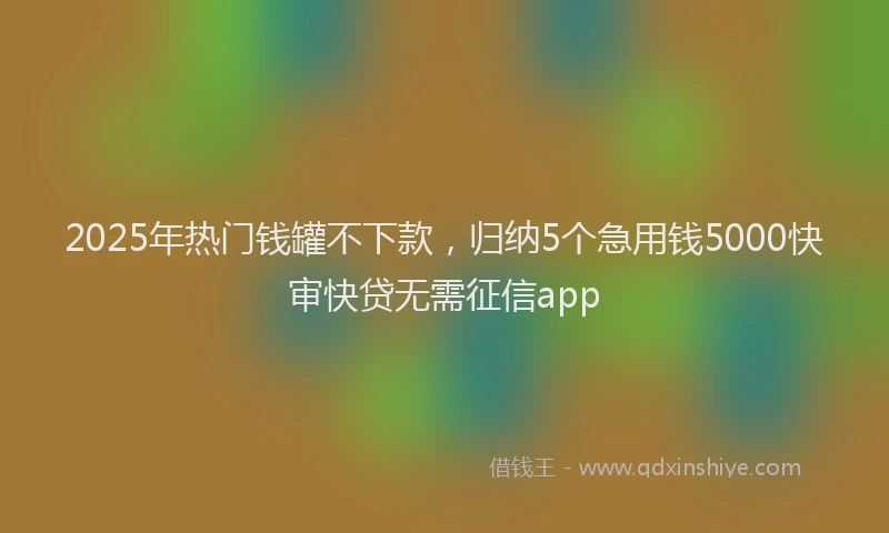 2025年热门钱罐不下款，归纳5个急用钱5000快审快贷无需征信app