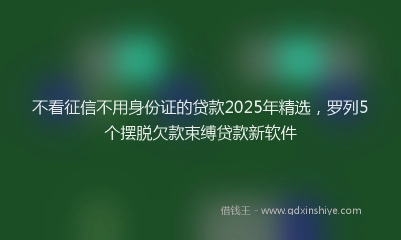 不看征信不用身份证的贷款2025年精选，罗列5个摆脱欠款束缚贷款新软件