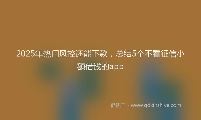 2025年热门风控还能下款，总结5个不看征信小额借钱的app