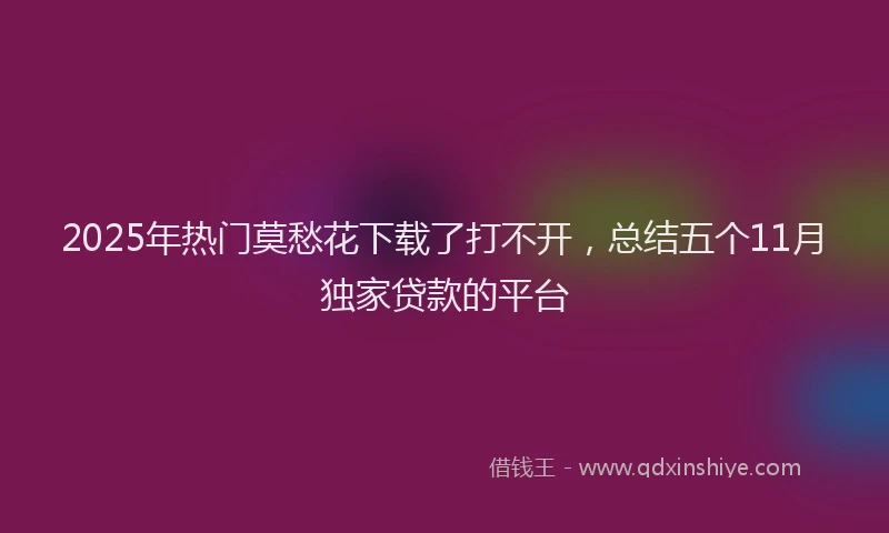 2025年热门莫愁花下载了打不开，总结五个11月独家贷款的平台