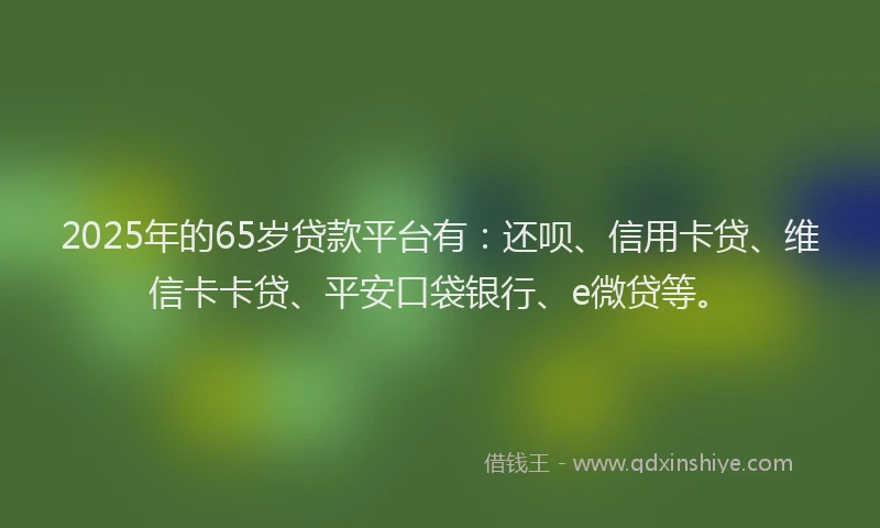 2025年的65岁贷款平台有：还呗、信用卡贷、维信卡卡贷、平安口袋银行、e微贷等。