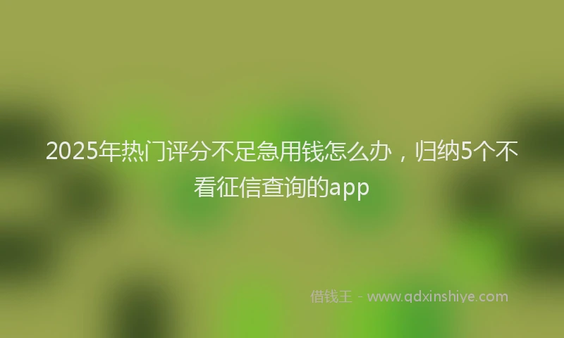2025年热门评分不足急用钱怎么办，归纳5个不看征信查询的app