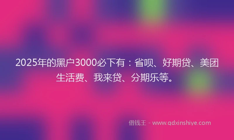 2025年的黑户3000必下有：省呗、好期贷、美团生活费、我来贷、分期乐等。