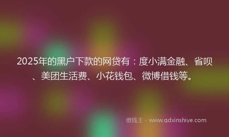 2025年的黑户下款的网贷有：度小满金融、省呗、美团生活费、小花钱包、微博借钱等。